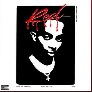 Meet your Posher, Rayyan